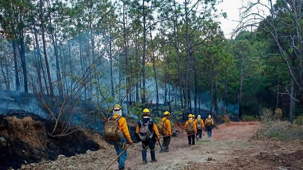 incendio uruapan